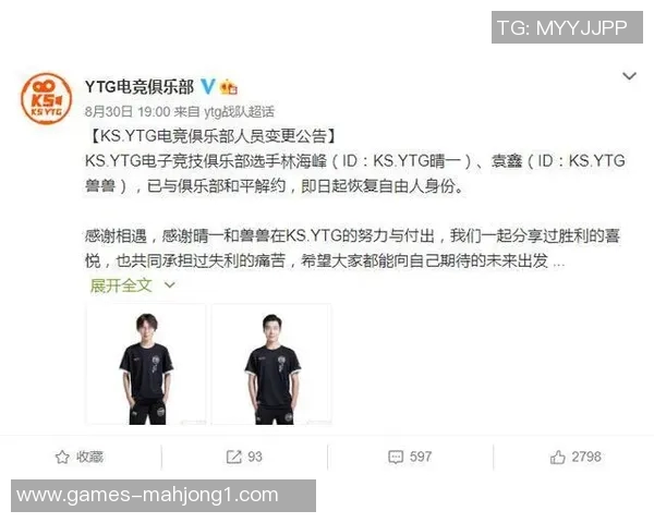 王者荣耀RNG团队协作引发热议争议分析与讨论